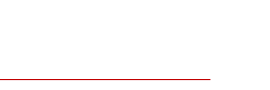 複雑なニーズも100％解決。フルオーダーメイドクレーン納入の実績。